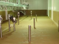 Polyester Floor Topping